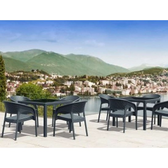PANAMA DARK GREY ΠΟΛΥΘΡΟΝΑ ΠΟΛ/ΝΙΟΥ 58X64X80εκ.