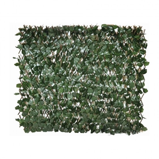 Αναρριχώμενος κισσός σε πράσινο χρώμα 100x200