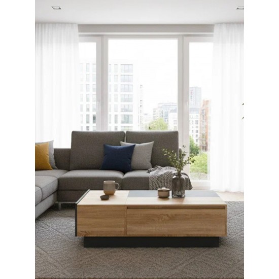 Τραπεζάκι σαλονιού Loft
