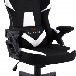 Καρέκλα Gaming Raptor Fury-Leuko
