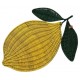 Σουπλά Lemons