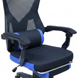 Καρέκλα Gaming Raptor Venom-Mple