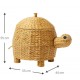Καλάθι αποθήκευσης Tortoise