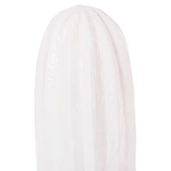 ΔΙΑΚΟΣΜΗΤΙΚΟΣ ΚΑΚΤΟΣ ΔΑΠΕΔΟΥ CACTUS HM4386.02S ΓΥΨΟΣ ΣΕ ΛΕΥΚΟ 42x30x74Υεκ