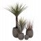 ΣΕΤ 4ΤΜΧ ΓΛΑΣΤΡΕΣ ΣΤΡΟΓΓΥΛΕΣ GARDENER HM4726 FIBERCLAY ΓΚΡΙΖΟΠΡΑΣΙΝΟ Φ52x55Υεκ