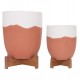ΓΛΑΣΤΡΕΣ ΣΕΤ 2ΤΜΧ SEON HM4686.08 TERRACOTTA ΣΕ ΛΕΥΚΟ & ΤΕΡΑΚΟΤΑ--TEAK ΒΑΣΗ