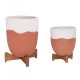 ΓΛΑΣΤΡΕΣ ΣΕΤ 2ΤΜΧ SEON HM4686.08 TERRACOTTA ΣΕ ΛΕΥΚΟ & ΤΕΡΑΚΟΤΑ--TEAK ΒΑΣΗ