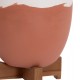 ΓΛΑΣΤΡΕΣ ΣΕΤ 2ΤΜΧ SEON HM4686.08 TERRACOTTA ΣΕ ΛΕΥΚΟ & ΤΕΡΑΚΟΤΑ--TEAK ΒΑΣΗ