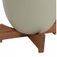 ΓΛΑΣΤΡΕΣ ΣΕΤ 2ΤΜΧ SEON HM4686.09 TERRACOTTA ΣΕ ΛΕΥΚΟ & ΠΡΑΣΙΝΟ--TEAK ΒΑΣΗ