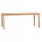 ΤΡΑΠΕΖΙ ΟΡΘΟΓΩΝΙΟ FINTO HM6616 ΞΥΛΟ TEAK--ΦΥΣΙΚΟ 200x100x75Υεκ.